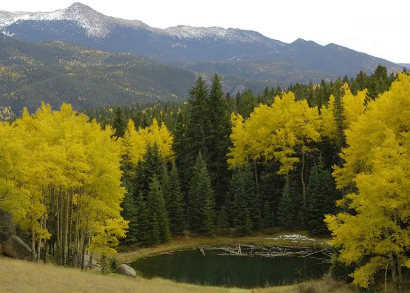 Mueller State Park, Colorado, USA